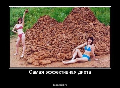 Самая эффективная диета