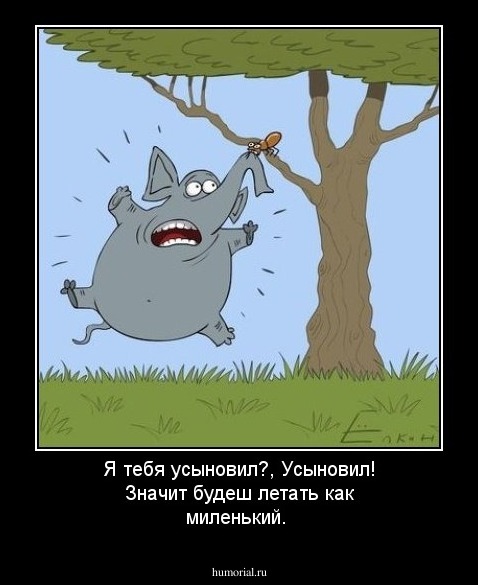 Я тебя усыновил?, Усыновил! Значит будеш летать как миленький.