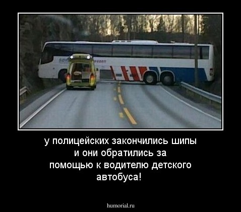 у полицейских закончились шипы и они обратились за помощью к водителю детского автобуса!