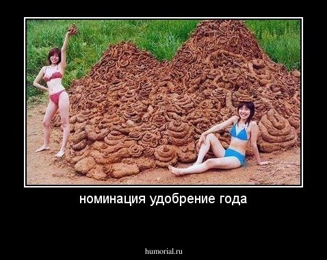 номинация удобрение года
