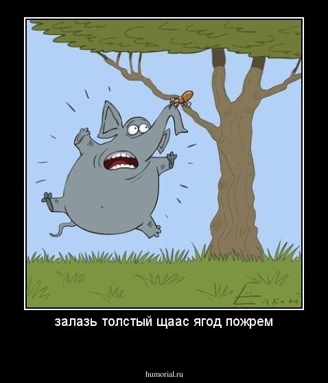 залазь толстый щаас ягод пожрем
