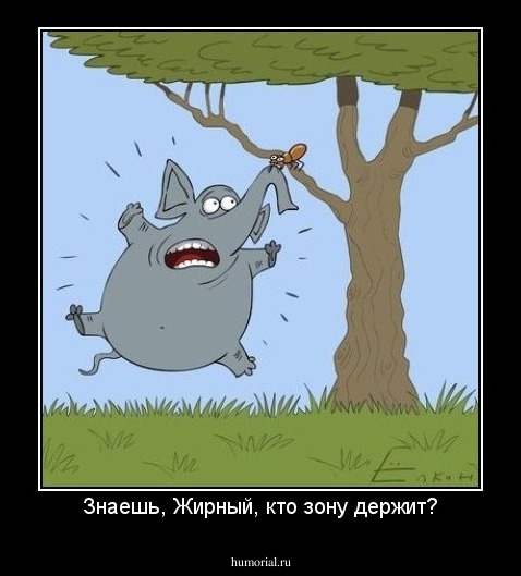 Знаешь, Жирный, кто зону держит?