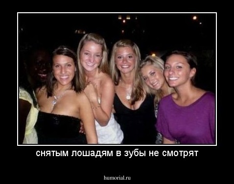 снятым лошадям в зубы не смотрят