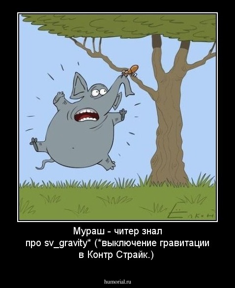 Мураш - читер знал про sv_gravity* (*выключение гравитации в Контр Страйк.)