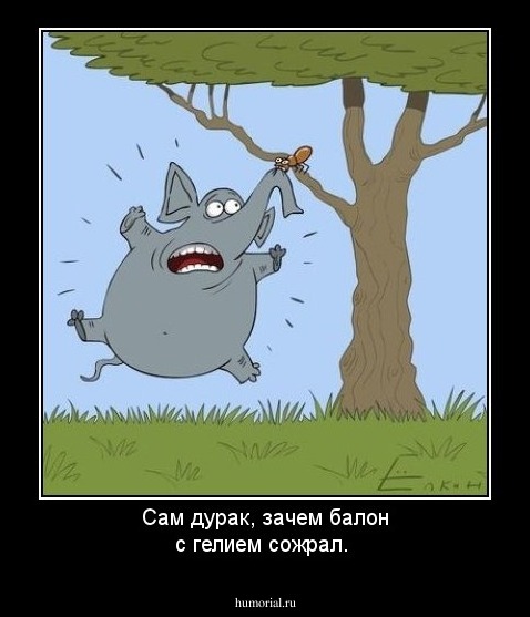 Сам дурак, зачем балон с гелием сожрал.