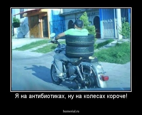Я на антибиотиках, ну на колесах короче!