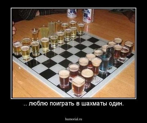 .. люблю поиграть в шахматы один.