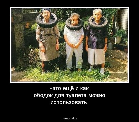 -это ещё и как ободок для туалета можно использовать