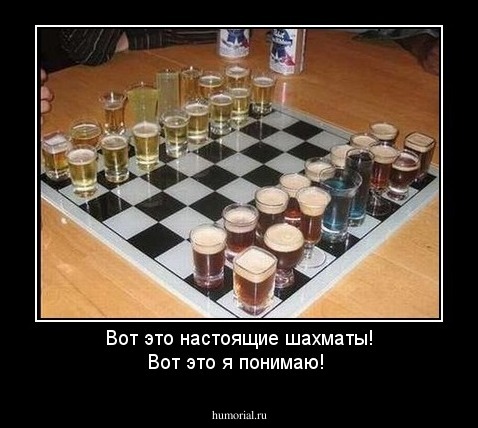 Вот это настоящие шахматы! Вот это я понимаю!