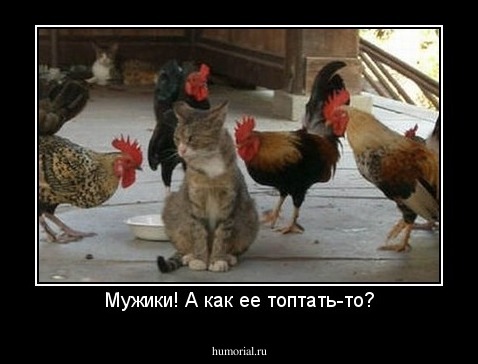 Мужики! А как ее топтать-то?