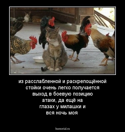 из расслабленной и раскрепощённой стойки очень легко получается выход в боевую позицию атаки, да ещё на глазах у милашки и вся ночь моя