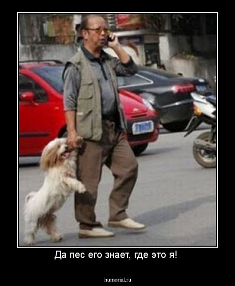 Да пес его знает, где это я! 