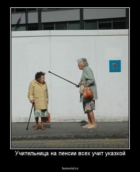 Учительница на пенсии всех учит указкой