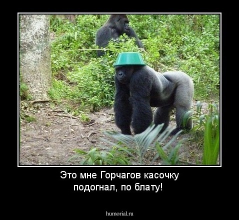 Это мне Горчагов касочку подогнал, по блату! 