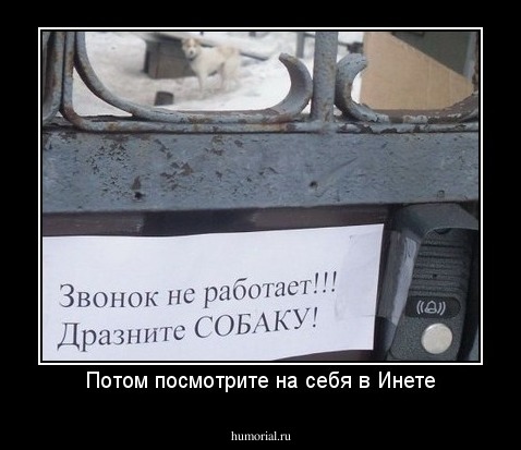 Потом посмотрите на себя в Инете