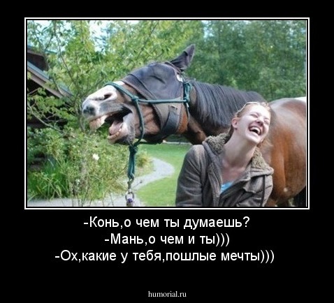 -Конь,о чем ты думаешь?
-Мань,о чем и ты)))
-Ох,какие у тебя,пошлые мечты)))