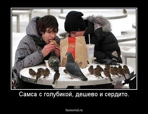 Самса с голубикой, дешево и сердито.