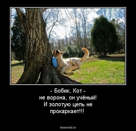 - Бобик, Кот - не ворона, он учёный! И золотую цепь не прокаркает!!!