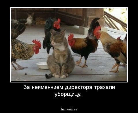 За неименнием директора трахали уборщицу.