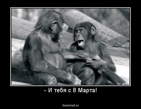 - И тебя с 8 Марта!