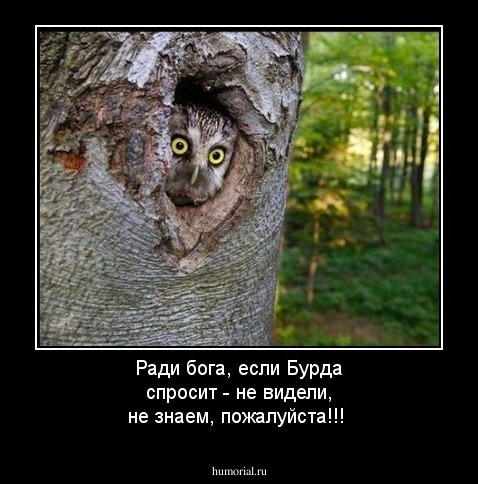 Ради бога, если Бурда спросит - не видели, не знаем, пожалуйста!!!