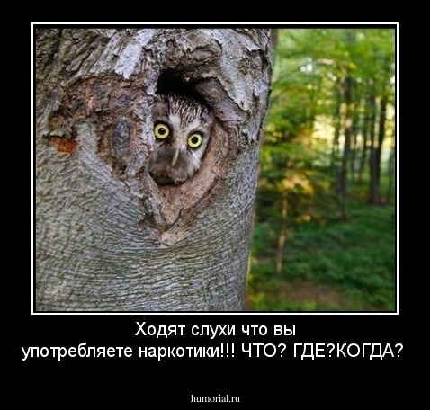 Ходят слухи что вы употребляете наркотики!!!   ЧТО? ГДЕ?КОГДА?