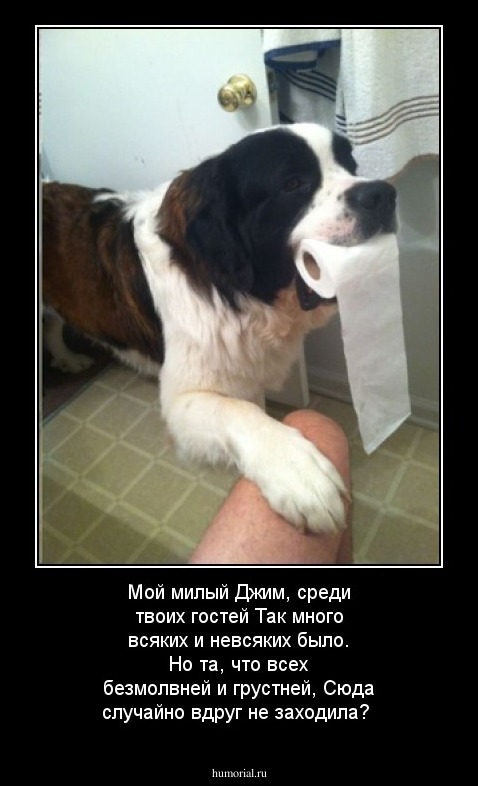 Мой милый Джим, среди твоих гостей
Так много всяких и невсяких было.
Но та, что всех безмолвней и грустней,
Сюда случайно вдруг не заходила?