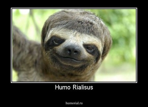 Humo Rialisus