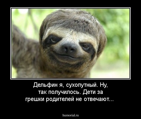 Дельфин я, сухопутный.  Ну, так получилось. Дети за грешки родителей не отвечают...