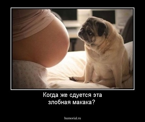 
	
Когда же сдуется эта злобная макака?