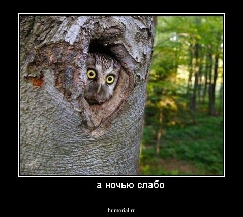       а ночью слабо