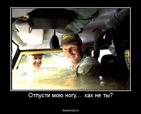 Отпусти мою ногу...  как не ты?