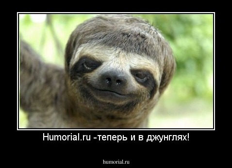 Humorial.ru -теперь и в джунглях!