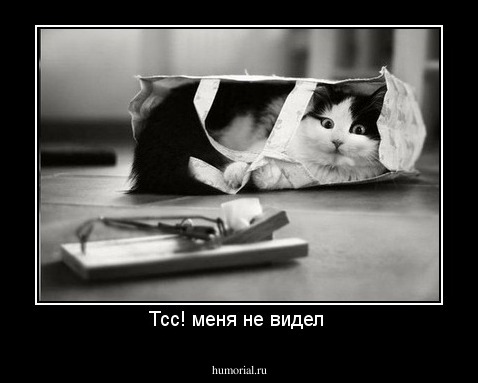 Тсс! меня не видел 