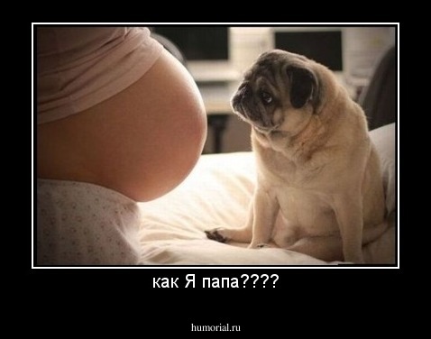 как Я папа????