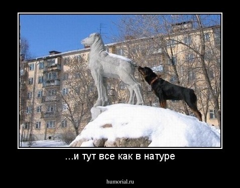 ...и тут все как в натуре