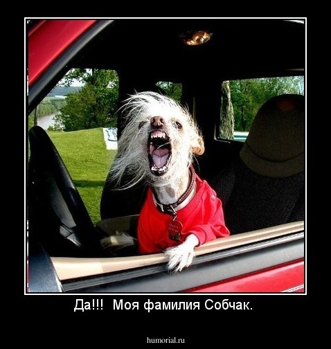 Да!!!  Моя фамилия Собчак. 