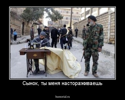 Сынок, ты меня настораживаешь