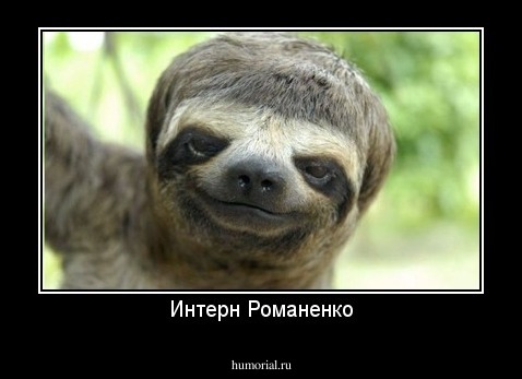 Интерн Романенко
