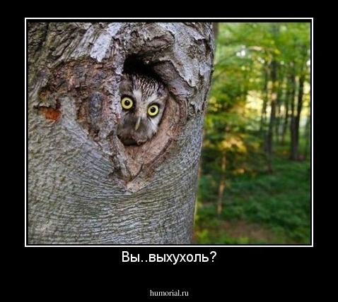 Вы..выхухоль?