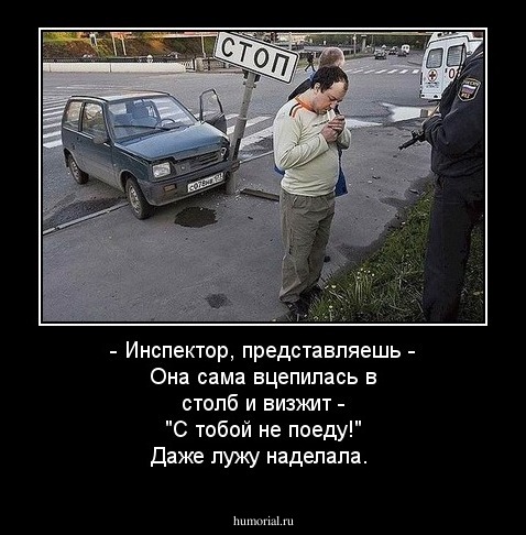  - Инспектор, представляешь - Она сама вцепилась в столб и визжит - "С тобой не поеду!" Даже лужу наделала.
