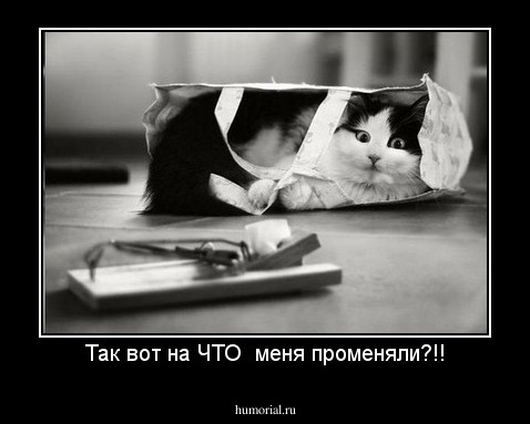 Так вот на ЧТО  меня променяли?!!