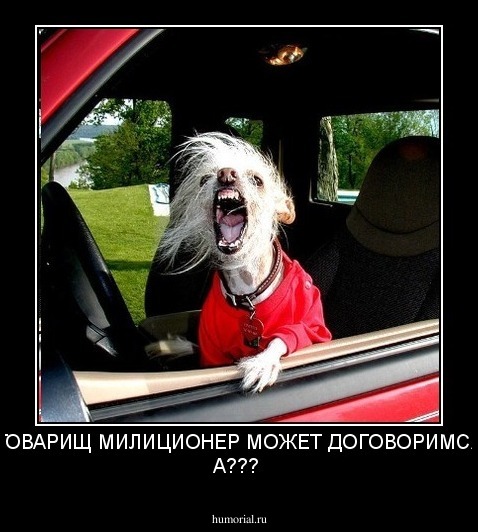 ТОВАРИЩ МИЛИЦИОНЕР МОЖЕТ ДОГОВОРИМСЯ А???