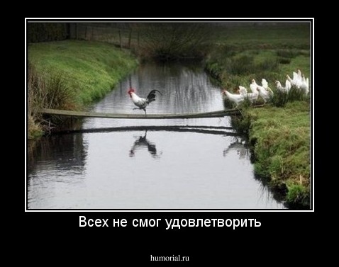 Всех не смог удовлетворить