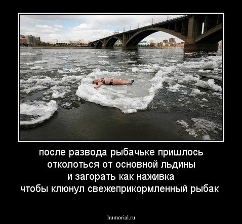 после развода рыбачьке пришлось отколоться от основной льдины и загорать как наживка чтобы клюнул свежеприкормленный рыбак