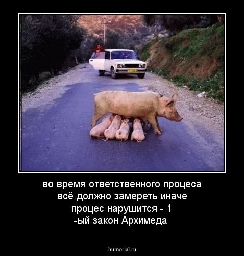 во время ответственного процеса всё должно замереть иначе процес нарушится - 1 -ый закон Архимеда