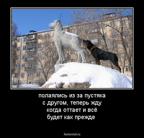 полаялись из за пустяка с другом, теперь жду когда оттает и всё будет как прежде