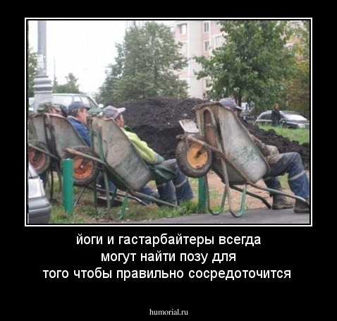  йоги и гастарбайтеры всегда могут найти  позу для того чтобы правильно сосредоточится