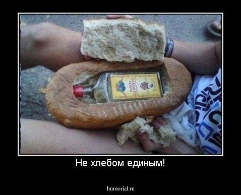 Не хлебом единым!