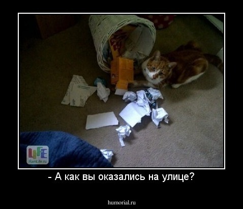 - А как вы оказались на улице?
